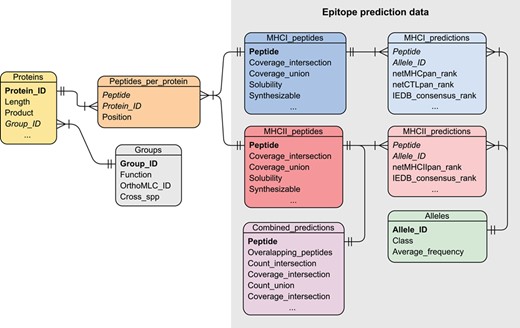 The entity-relationship diagram for the VianniaTopes database. Relationship among tables is represented by connecting lines, fields acting as primary keys are highlighted in bold and foreign keys are highlighted in italics.