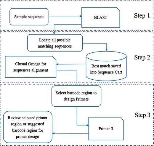 General workflow of `one-stop, three steps approach’ for designing primer for barcoding.