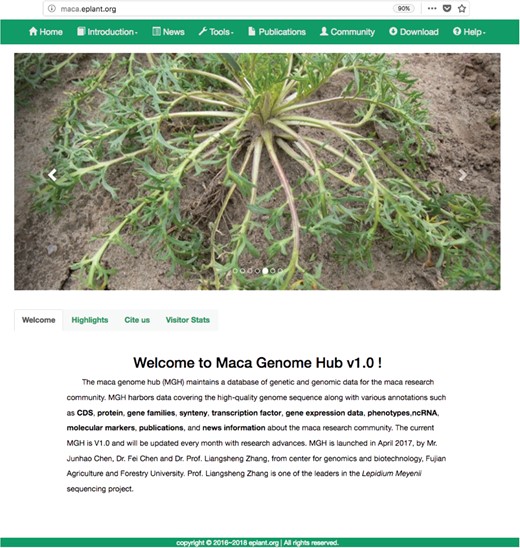 The homepage of MGH. This head part of MGH’s homepage is a menu for quick links of our data, tools, news and help. The sliding pictures show the latest news and representative publications. The database news, highlights, citations, and visitor statistics were shown below the figures.