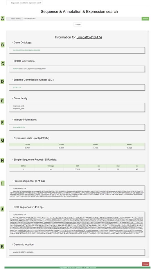 Various information for the genes as shown in the gene search page in MGH. (A) The input box and search button. (B) The gene ontology annotation. (C) The KEGG pathway and related links. (D) The EC annotation. (E) Gene family information. (F) Interpro information for annotations. (G) The expression data from four altitude sites. (H) SSR marker data. (I) Protein sequence. (J) CDS sequence. (K) The genomic location data.