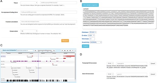 Usage of the database. (A) Filtering conserved functional lncRNA candidate through ‘Advanced functional lncRNA filtering’ function. (B) Finding zebrafish lncRNA through BLAST sequence similarity search. (C) Finding zebrafish lncRNA through sequence positions in GBrowser. (D) Converting IDs among diverse databases by using ‘ID Conversion’.