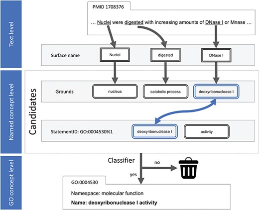Text processing and machine-learning diagram. On the named concept level, the candidate was generated by the greedy search for at least one common named concept in the grounds and statement.