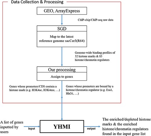 YHMI includes the ChIP-chip/ChIP-seq datasets of 32 histone marks and 83 histone/chromatin regulators.