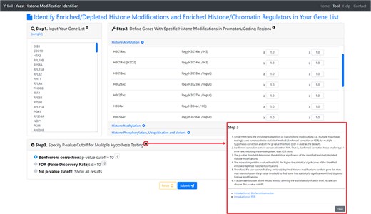 The input page. To use YHMI, users have to go through a three-step process.