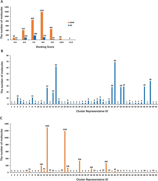 (A) Diagram of 3 938 and 447 hits showing docking scores vs number of molecules in each docking score region (orange: A3AR; blue: hGR). (B) Diagram of 447 retained hits showing the number of clusters vs the number of molecules in each cluster. (C) Diagram of 3938 retained hits showing the number of clusters vs the number of molecules in each cluster.