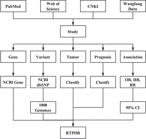 Flowchart of the RTPDB.