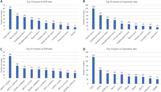 Top 10 tumor, variant and gene in SNP and expression data.