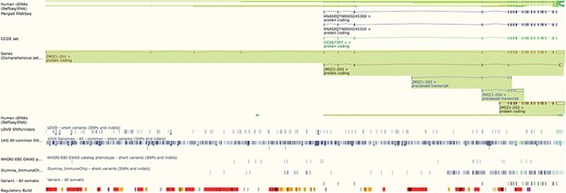 The ‘Region in detail’ view showing 5 of the available 66 tracks of variant data. URL: https://www.ensembl.org/Homo_sapiens/Location/View?r=10:79069035-79316528