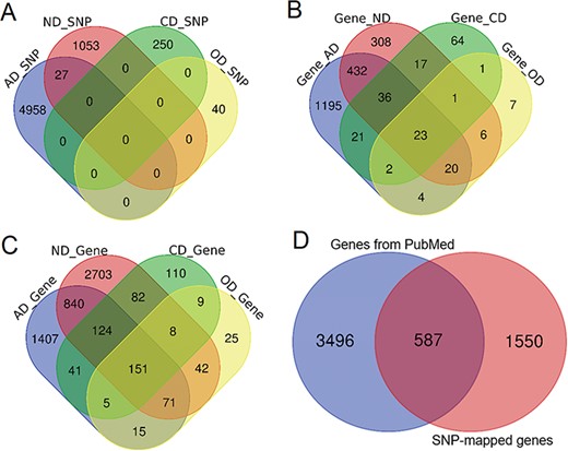 Comparison of genetic variants and genes. (A) Venn diagram comparing the genetic variants associated with each phenotype. (B) Venn diagram comparing ANCO genes (all genes obtained from two approaches). (C) Venn diagram comparing SNP-mapped genes. (D) Venn diagram comparing genes from two sources (SNP-mapped genes and genes extracted from the literature).
