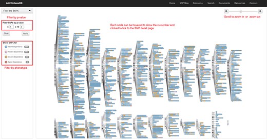 The SNP Map page. A genome-wide display of all the collected SNPs for ANCO phenotypes. Each node indicates an SNP and node color represents the phenotype. The user can click each SNP node linking to the detailed SNP information page and filter out the data based on P-value cut-off or phenotype (Note: the display of SNPs on chromosomes is adapted from the GWAS Catalog).