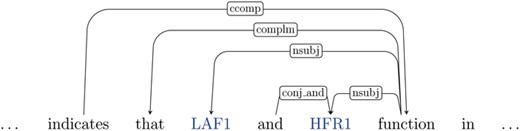 Illustration of the (partial) dependency graph for the sentence `This result indicates that LAF1 and HFR1 function in largely independent pathways’. The entities (genes) are shown in blue.