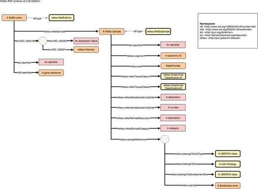 Example schema diagram from the NBDC RDF portal. This example schema diagram is taken from the RefEx RDF. The orange, yellow and pink rectangles represent instances, ontology classes and literals, respectively; the solid and dashed arrows represent properties and rdf:type relationships; the dotted circles represent blank nodes.