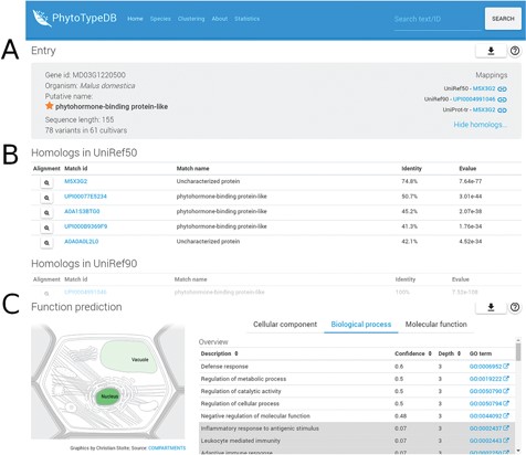 Entry overview. The overview description for PhytoTypeDB entry MD03G1220500 is shown. (A) Basic entry information and mappings to UniRef sequence clusters. The gene intrinsic disorder (ID), organism putative name, sequence length and number of variants for different cultivars are shown on the left. Mappings to UniRef sequence clusters are shown on the right and cross-linked to relevant PhytoTypeDB sequence cluster pages. (B) Detailed list of homologs found using BLAST. Matching sequences are cross-linked from their ID and corresponding alignments can be visualized by clicking on the magnifying glass icon. (C) Function prediction. The left panel graphically shows the sub-cellular compartments predicted by INGA. Three tabs on the right allow the user to switch between GO biological process, molecular function and cellular component. The GO term description is shown alongside its INGA confidence score and a GO term ID cross-linked to the GO website. Low confidence predictions are highlighted with a grey background.