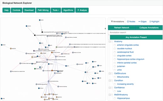 The biological network explorer and related navigation components. Truncated from this image are the node information and query information boxes.