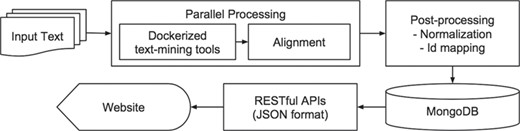 iTextMine system overview.