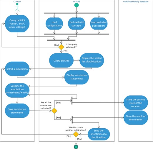 Activity diagram of the literature curation process using neXtA5.