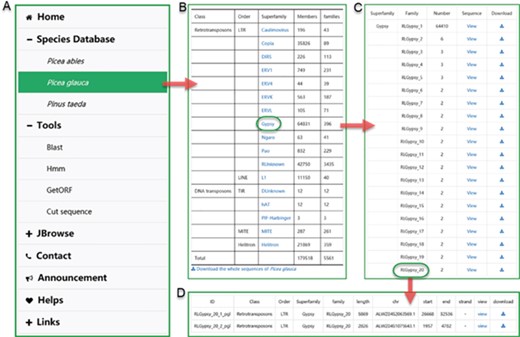 The user interface of browsing in ConTEdb. (A) The interface of ‘Species Database’. (B–D) Some samples of browsing.