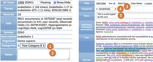 Annotation and categorization. The terms (left) can be annotated by categories (1) and notes (2). The text within abstracts (right) can be marked (3), but the abstract itself can also be categorized (4) and annotated (5).