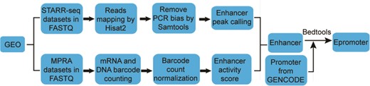 Workflow for enhancer and epromoter identification.