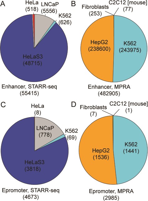 Data distribution of enhancers and epromoters by cell line and by methods.