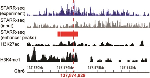 A systemic lupus erythematosus associated enhancer displayed in genome browser of RAEdb. It shows the activity measured by STARR-seq (two upper panels, from the dataset of GSE100423 in NCBI GEO database) and histone modification (two bottom panels, from the dataset of GSE29611 in NCBI GEO database) methods. The enhancer peaks called based on STARR-seq data were highlighted in red bars. The red perpendicular line refers to the SNP (rs2230926) associated with systemic lupus erythematosus.