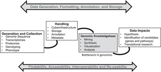 A general summary of the genomics pipeline depicting ‘Big Data’ generation, handling, analysis and its potential translation. The development of cyber-infrastructure and analysis tools is ongoing for storage, analysis and visualization of the raw and processed data simultaneously to make it available for integration across various public platforms using the FAIR (findable, accessible, interoperable and reusable) principle. A genomic knowledgebase such as Plant Reactome represents the downstream end of this pipeline, which can directly support the generation of a data-driven hypothesis for translation of biological knowledge.