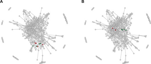 The network of RRM domain families. Points correspond to 415 RRM families defined in this study, whereas edges connect significantly (e-value of profile–profile comparisons below 1e-5) similar families. (A) Green points indicate four families encompassing RRM domains of the hnRNP L; red points indicate RRM families from related hnRNP L-like proteins. (B) Green and red points indicate RRM families of SRSF proteins—for details see the text.