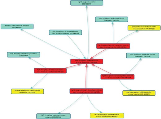 High-throughput evidence codes to support GO curation. The five new evidence codes added to the Evidence and Conclusion Ontology for GO curation are shown in red boxes: the parent term `high throughput evidence used in manual assertion’ (ECO:0006056) and four child terms. Is_a relationships with other classes in the Evidence & Conclusion Ontology are shown, including the evidence equivalents used in conventional GO annotation (yellow boxes). The new high-throughput evidence codes should be used by GO curators when annotating high-throughput data in accordance with GOC annotation guidelines. The graph layout was generated using the Ontology Lookup Service (https://www.ebi.ac.uk/ols/index) OLS-graphview.