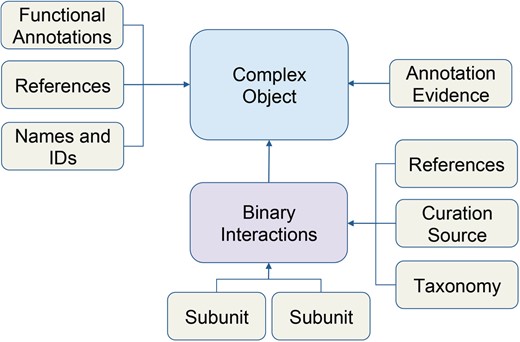 Schematic of macromolecular complex data object. Data for macromolecular complexes were expertly collected and curated from published literature. Each box represents a data type stored in the database. Arrows indicate how data is related to the complex object.