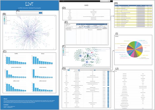 Interface of LIVE. (A–C) Main page. Search box (A), integrated network of all interactions (B) and metadata of database (C). (D–J) Detail page. Basic information of lncRNA (D), genomic browser (E), interaction network (F), brief publication information (G), GO analysis results (H), pie chart (I) and detailed information (J).