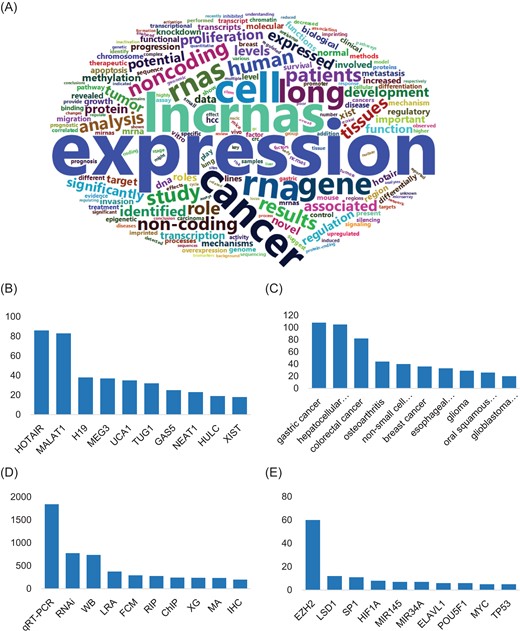 Metadata of LIVE. (A) Word cloud graph of keywords in LIVE. (B) Top 10 lncRNAs involved with lncRNA interactions ranking by number of interactions, (C) number of top 10 diseases involved with lncRNA interactions ranking by number of validated interactions evolved, (D) number of top 10 experiment type used in all interactions ranking by number of publications and (E) number of top 10 functional elements used in all interactions ranking by number of validated interactions evolved.