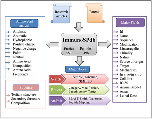 Architecture of ImmunoSPdb.