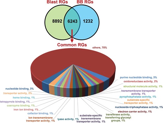 Distribution and functional annotation of common 6243 DEGs under rice blast and BB RGs.