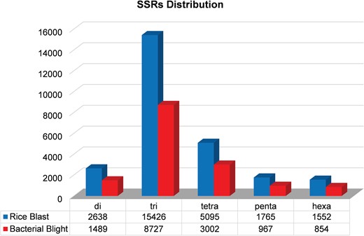 Distribution of microsatellites in the rice blast and BB RGs.