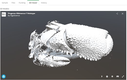 Embeddable media in GigaDB. The GigaDB team are generating surface reconstructions for recently submitted microCT datasets and making these publicly available using SketchFab, example shown from dataset 100364 (11).