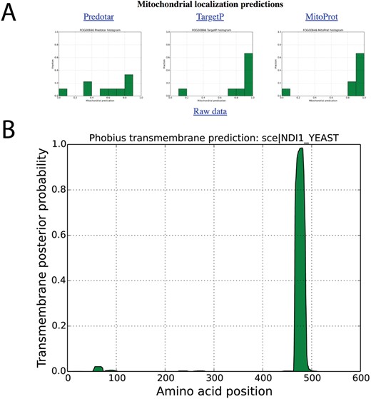 Localization predictions for internal NADH dehydrogenase (NDI1_YEAST) in AYbRAH. (A) Histogram plots are shown for mitochondrial localization predictions of Ndi1p orthologs Ndi1p predicted by Predotar, TargetP and MitoProt. (B) Transmembrane domain predictions computed for orthologous proteins by the Phobius web server.