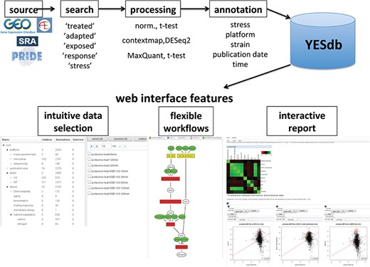 Overview of the data sources and web interface features of YESdb: All stress response data sets from GEO, ArrayExpress, SRA and PRIDE are selected, processed to differential conditions (‘DCs’) and annotated. The web interface features an intuitive data selection interface, workflows that allow to execute complex analyses and interactive reports to summarize and visualize the results.