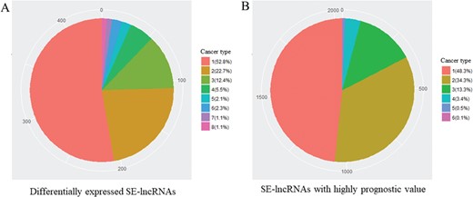 Number of different cancer type with identical SE-lncRNAs. (A) Significantly differentially expressed SE-lncRNAs. (B) SE-lncRNAs with high prognostic values. Number means the number of cancer types with identical SE-lncRNAs.