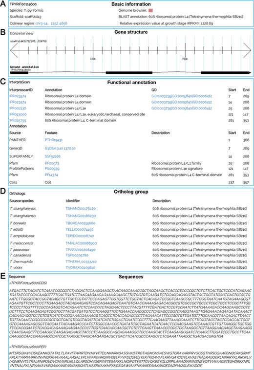 A gene details page for TPYRIF00114600, showing five types of data. (A) Basic information on the gene, such as the species, putative annotation based on NCBI BLAST hits, and the gene location. (B) A snapshot of the gene structure with a hyperlink to GBrowse. (C) Annotation with InterProScan for protein domains, GO and KEGG function. (D) Homolog information for all 10 species based on OrthoMCL ortholog groups. (E) The predicted CDS and protein sequences.