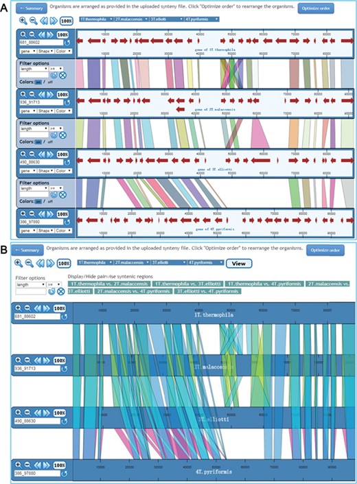 Visualization of synteny map in ‘Pairwise view’ mode and ‘Multiple view’ mode. (A) In ‘Pairwise view’ mode, genes are shown as lines between adjacent genomes. Genomes can be rearranged, removed or shown more than once. Genome control panels on the left side of the interface allow the genome viewing range to be adjusted. Master controls at the top apply to all genomes. By using the control panel on the left, users can choose the shape and color of genes. Regions of visible synteny can be filtered based on the numerical criteria specified for genes. (B) In ‘Multiple view’ mode, conserved genes across all selected genomes are shown. The regions associated with one or more specific genome pairs can be hidden using the buttons above the synteny display. Genomes can also be rearranged or removed, and each genome is displayed only once.