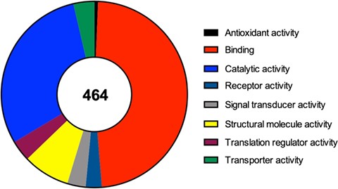 Molecular function of the 464 proteins currently identified as components of mammalian SGs, according to a gene list analysis by the PANTHER classification system.