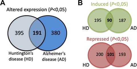 (A) SG components whose expression is significantly altered in the brain of AD and HD patients and commonly in both diseases. (B) Details on the number of SGs protein components whose expression is significantly induced or repressed in each disease and in both diseases.
