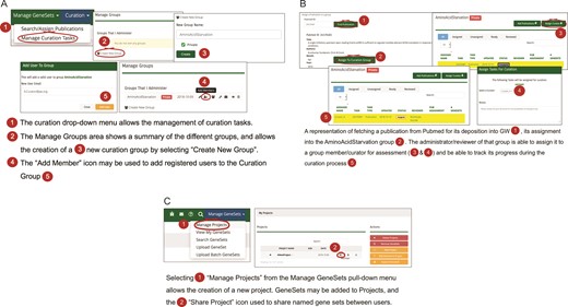 (A) A workflow diagram representing the creation of a new curation group. (B) A diagram showing the management of curation tasks and their assignment to group members. (C) The creation of a new project and the subsequent assignment of gene sets to it, then allows the sharing of that gene set among users.