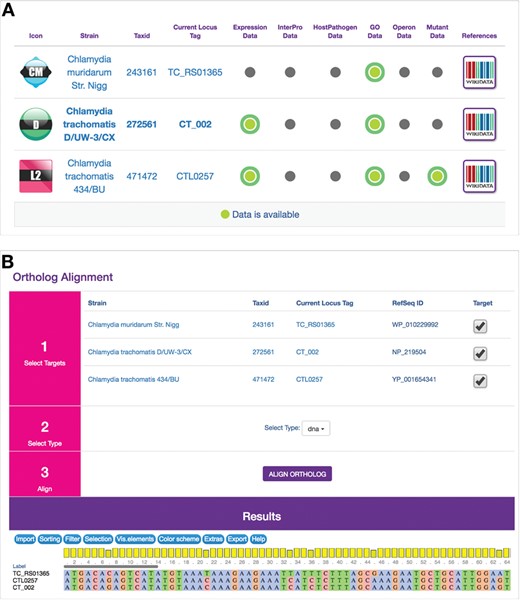 Ortholog and Ortholog Alignment modules. (A) Computationally derived orthologous genes from other Chlamydia genes in ChlamBase are displayed in a table along with the current gene. The table displays NCBI taxonomy IDs for orthologous genes, their locus tags (clicking on them redirects the user to those genes) and binary displays (by green or gray dots) of whether annotations are available in current/ortholog genes for Gene Expression, InterPro Domains, Host–Pathogen Interactions, Gene Ontology Annotations, Operons and Mutants. References open up Wikidata pages for that gene. (B) Ortholog Alignment tool uses the MSAViewer widget (19) to display DNA or amino acid alignments for orthologous genes or proteins, toggle species/strains to use for alignments and download aligned sequence data in a FASTA-compatible window.