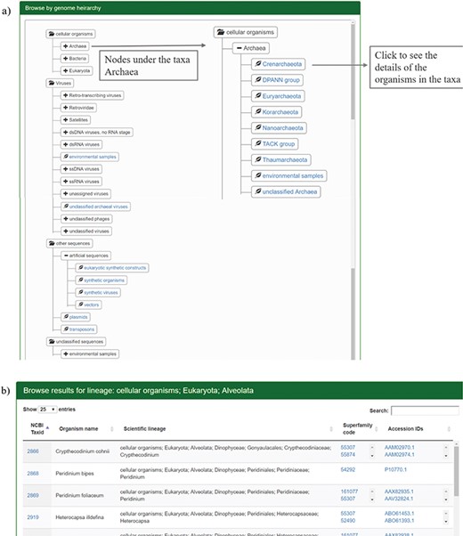 Results for browsing by taxonomy. (a) The taxonomy page lists the superphyla, phyla and family under different categories like cellular organisms, viruses, unclassified sequences and artificial sequences. The users can click on the parent nodes to expand the contents. Clicking on the child nodes with a leaf sign leads to a page listing all the species in the node with the complete hierarchy, accession ids and SCOP superfamilies of homologues. Links have been provided to NCBI taxonomy database on clicking the taxids and GenBank/Refseq page on clicking protein accession ids. Results for the expanded branch of the kingdom `Archaea’ has been shown. (b) Users can also browse the database using names for taxa, phyla, family etc. An example for search result of the keyword `Alveolata’ is shown.