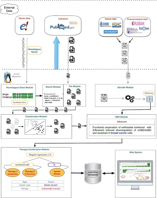 Architecture of the CANCROX database. The pipeline starts with the download of external databases and pre-processing, which consists of organizing the different data patterns in structured database tables. Next, the pre-processed data are sent to the learning algorithms of the machine (where articles are classified as ‘positive results’ and ‘negative results’) and articles with ‘positive results’ are submitted to the NER module, where therapies, drugs and types of cancer are recognized. In the final step of this processing phase, the combination of therapies is identified. The first tier of the tool grants access to external databases to obtain information about genes, drugs and scientific texts. Processing and persistence of the data occur in the second tier. The third tier is responsible for providing mechanisms of data access, i.e. permitting visualization of the processed data.