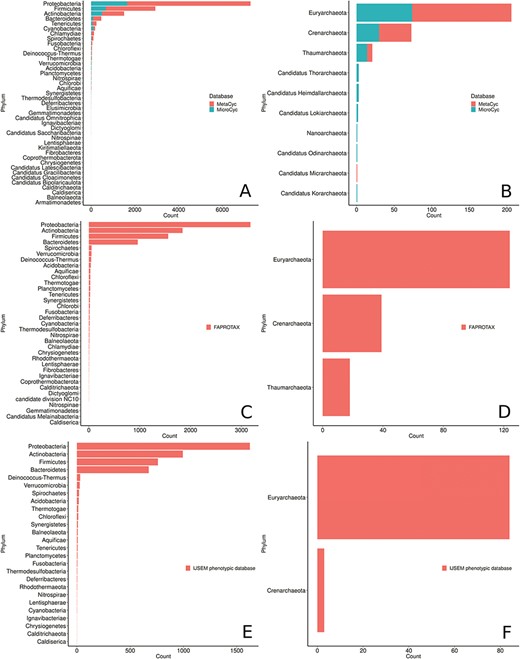 Phyla distribution in the MACADAM database according to their database of origin. (A) MetaCyc and MicroCyc for bacterial organisms, (B) MetaCyc and MicroCyc for archaea organisms, (C) FAPROTAX for bacterial organisms, (D) FAPROTAX for archaea organisms, (E) IJSEM phenotypic database for bacterial organisms and (F) IJSEM phenotypic database for archaea organisms.