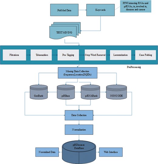piRDisease database construction workflow. The piRDisease database was constructed from keywords search to data retrieval, preprocessing, normalization followed by adding missing data. Finally, all these data were stored in the piRDisease database.