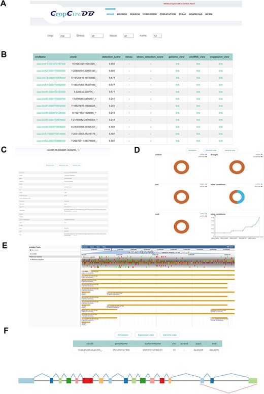 CropCricDB database.