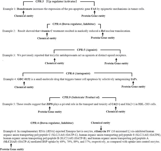The illustrative examples of CPR classes.